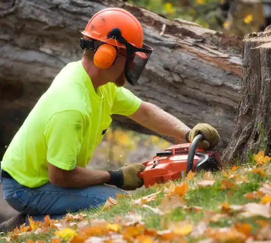 tree services Pass Christian